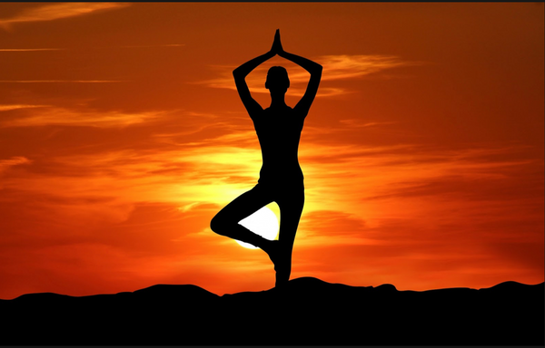 Holistic Yoga Sessions